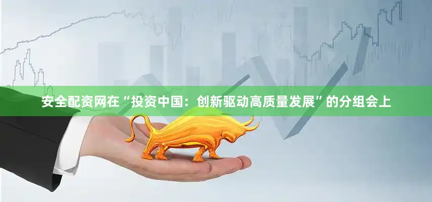 安全配资网在“投资中国：创新驱动高质量发展”的分组会上