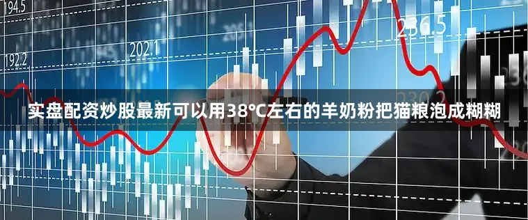 实盘配资炒股最新可以用38℃左右的羊奶粉把猫粮泡成糊糊