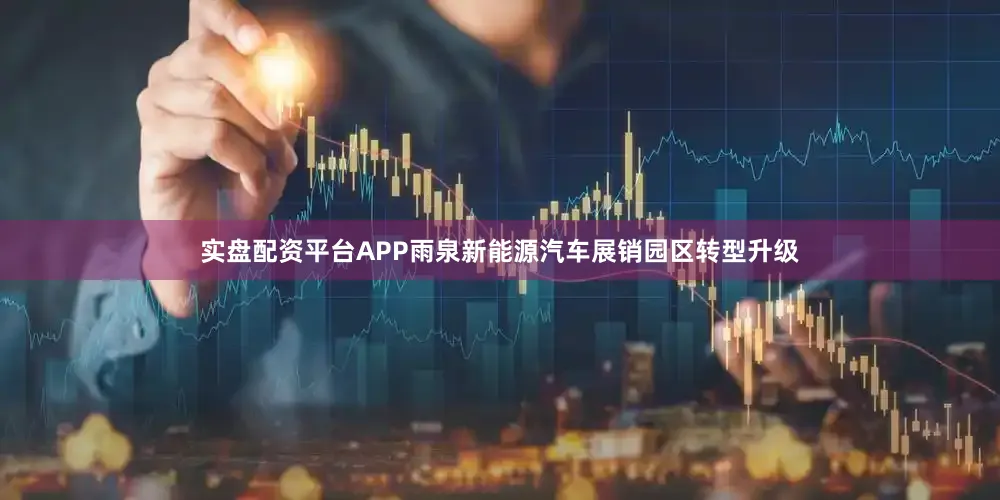 实盘配资平台APP雨泉新能源汽车展销园区转型升级